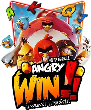 Angry win